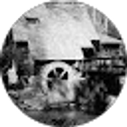 Profile photo of Ross Callaway