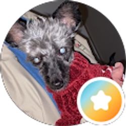 Profile photo of Charity Damron