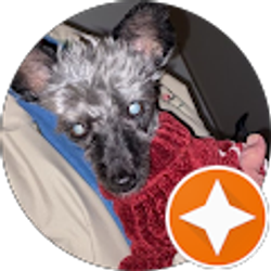 Profile photo of Charity Damron