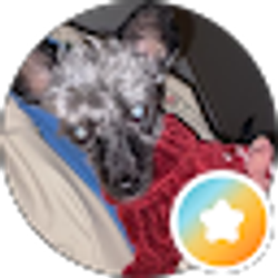 Profile photo of Charity Damron