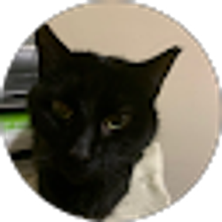 Profile photo of Yulonda Terry