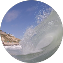 Profile photo of Nick Galletta