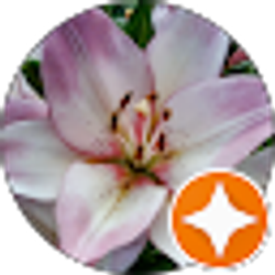 Profile photo of kelly grubbs