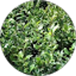 Profile photo of Port Raulston