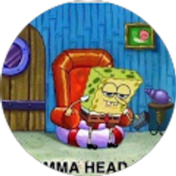 Profile photo of Danny Cat