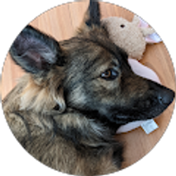 Profile photo of Evans