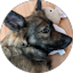 Profile photo of Evans