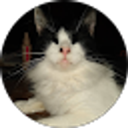 Profile photo of Stephani DuVall