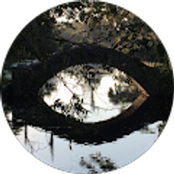 Profile photo of Raymond McKenzie