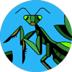 Profile photo of Bailey