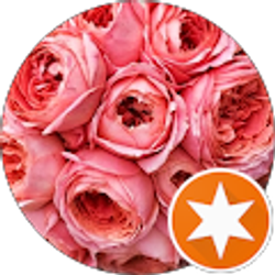 Profile photo of Brenda Harper