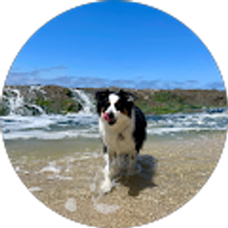 Profile photo of Kaida