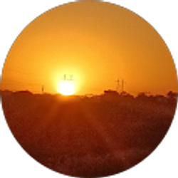 Profile photo of Martin Ruiz