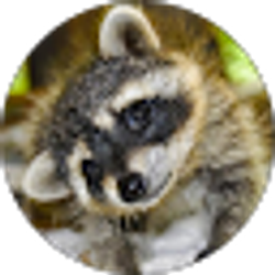 Profile photo of Savannah Davis