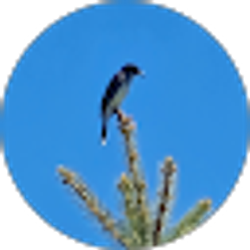 Profile photo of Leigh M