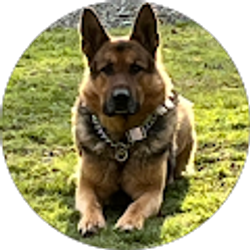 Profile photo of Will Johnson