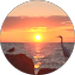 Profile photo of Jenifer Davis