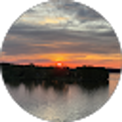 Profile photo of Carmen Knowles