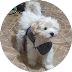 Profile photo of melody nunez