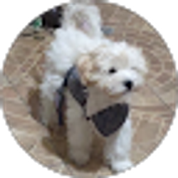 Profile photo of melody nunez