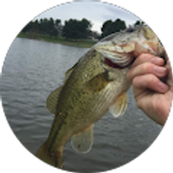 Profile photo of Justin Powell