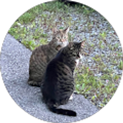 Profile photo of Robert Molta