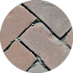 Profile photo of Steven Soard