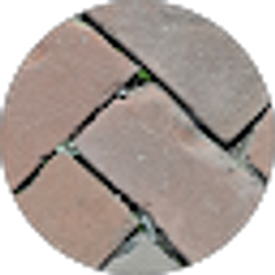 Profile photo of Steven Soard
