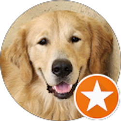 Profile photo of Christopher Kelly