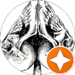 Profile photo of Aaron Powers