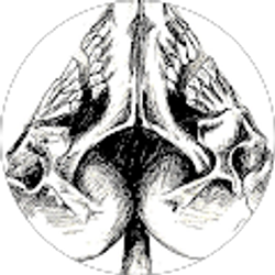 Profile photo of Aaron Powers