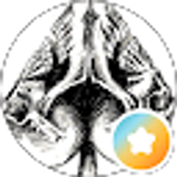 Profile photo of Aaron Powers