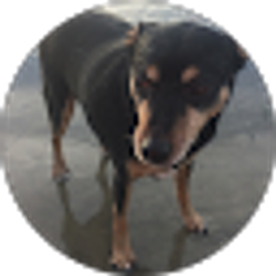 Profile photo of Marsha Reuther