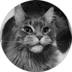 Profile photo of Ansleigh Couey