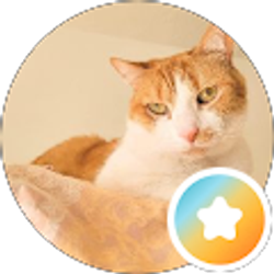 Profile photo of Kei E