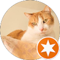 Profile photo of Kei E