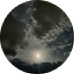 Profile photo of Z _
