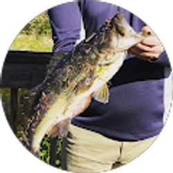 Profile photo of Hunter Kelson