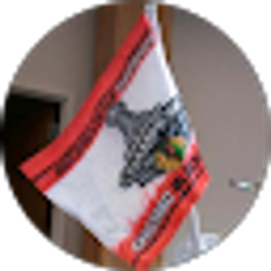 Profile photo of Anthony Concialdi