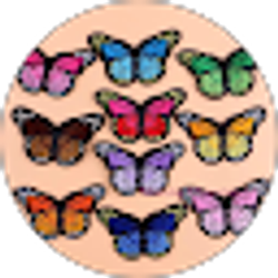 Profile photo of Cupcakee