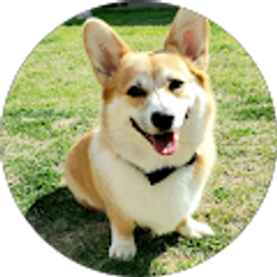 Profile photo of Ashlan Johnson