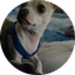 Profile photo of BJ Collins