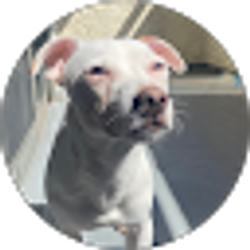 Profile photo of Leticia Rodriguez