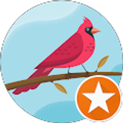 Profile photo of Nicole Franco