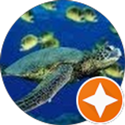 Profile photo of Leslie Loo