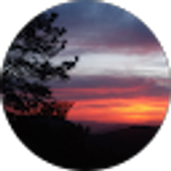 Profile photo of Robert Hess