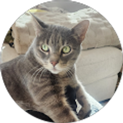 Profile photo of Layce Westbrook