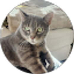 Profile photo of Layce Westbrook
