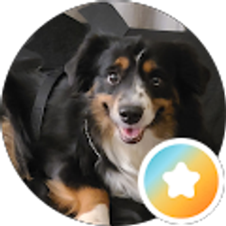 Profile photo of Paris