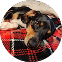 Profile photo of Logan Simon